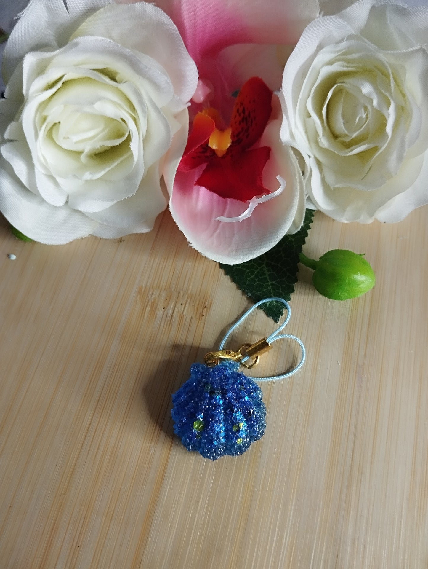Coquillage Rond