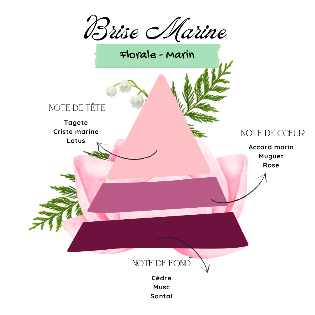 Brise Marine