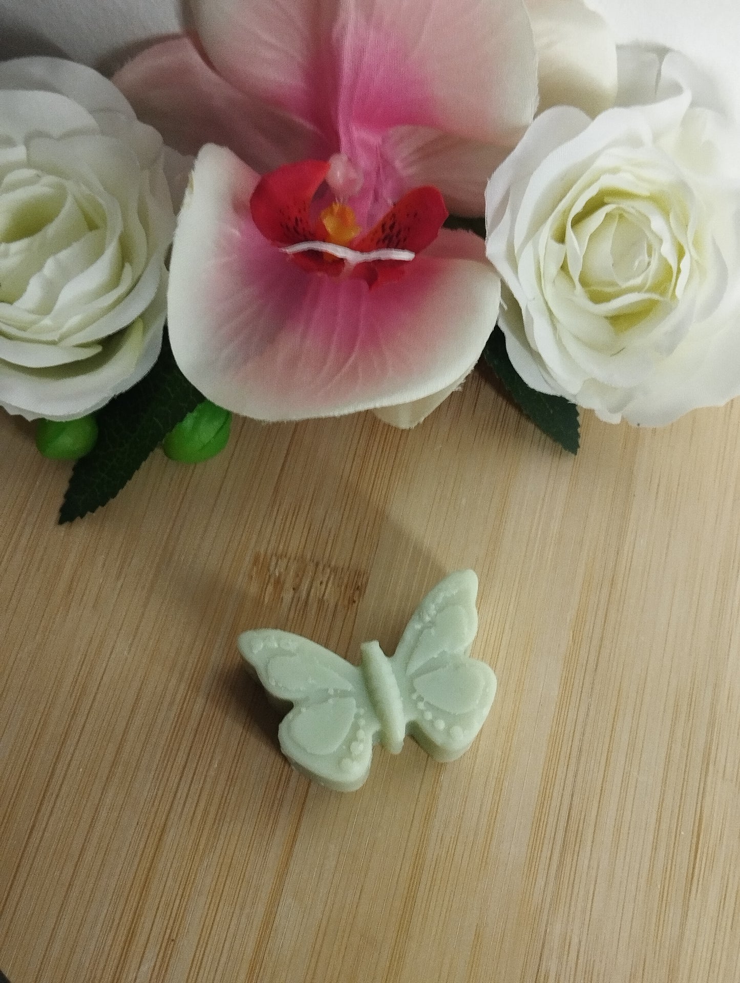 Papillon