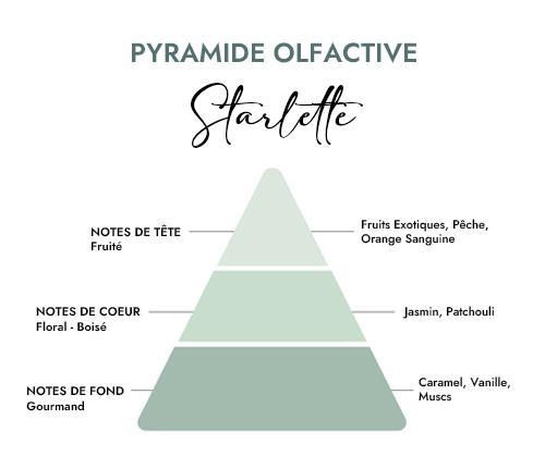 Modèle classique