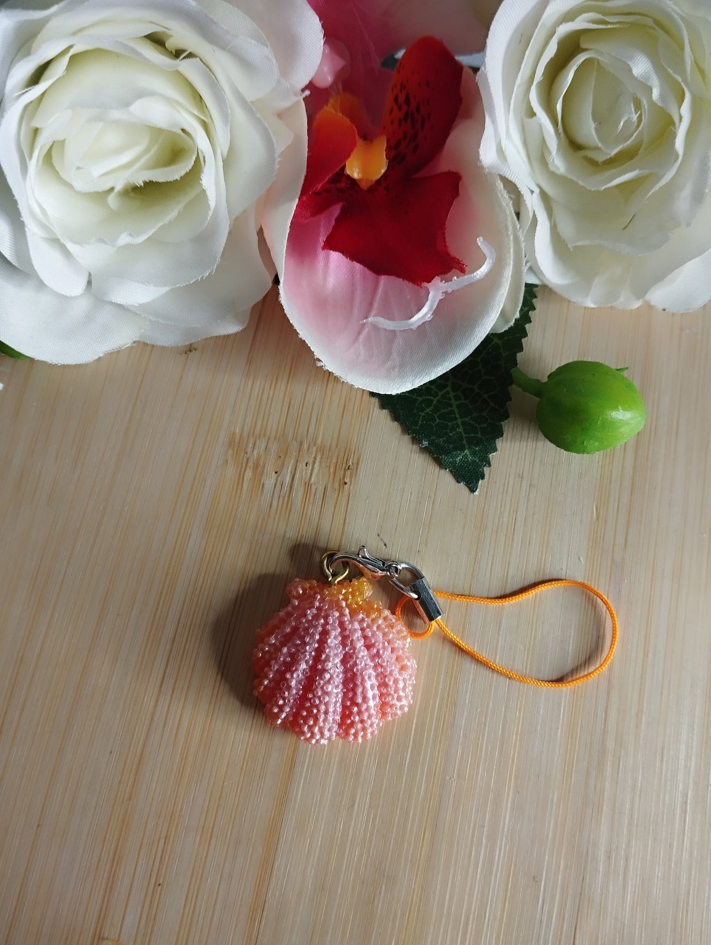Coquillage Rond