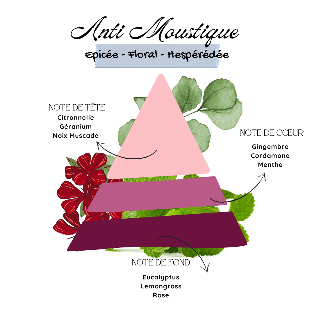 Anti Moustique