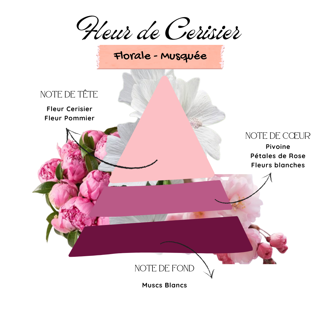 Fleur Cerisier