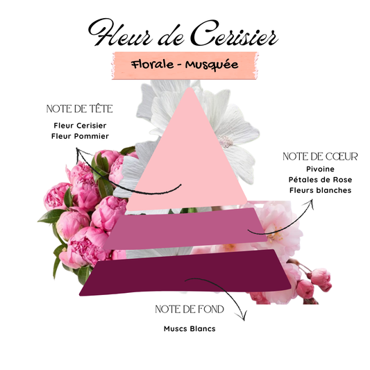 Fleur Cerisier