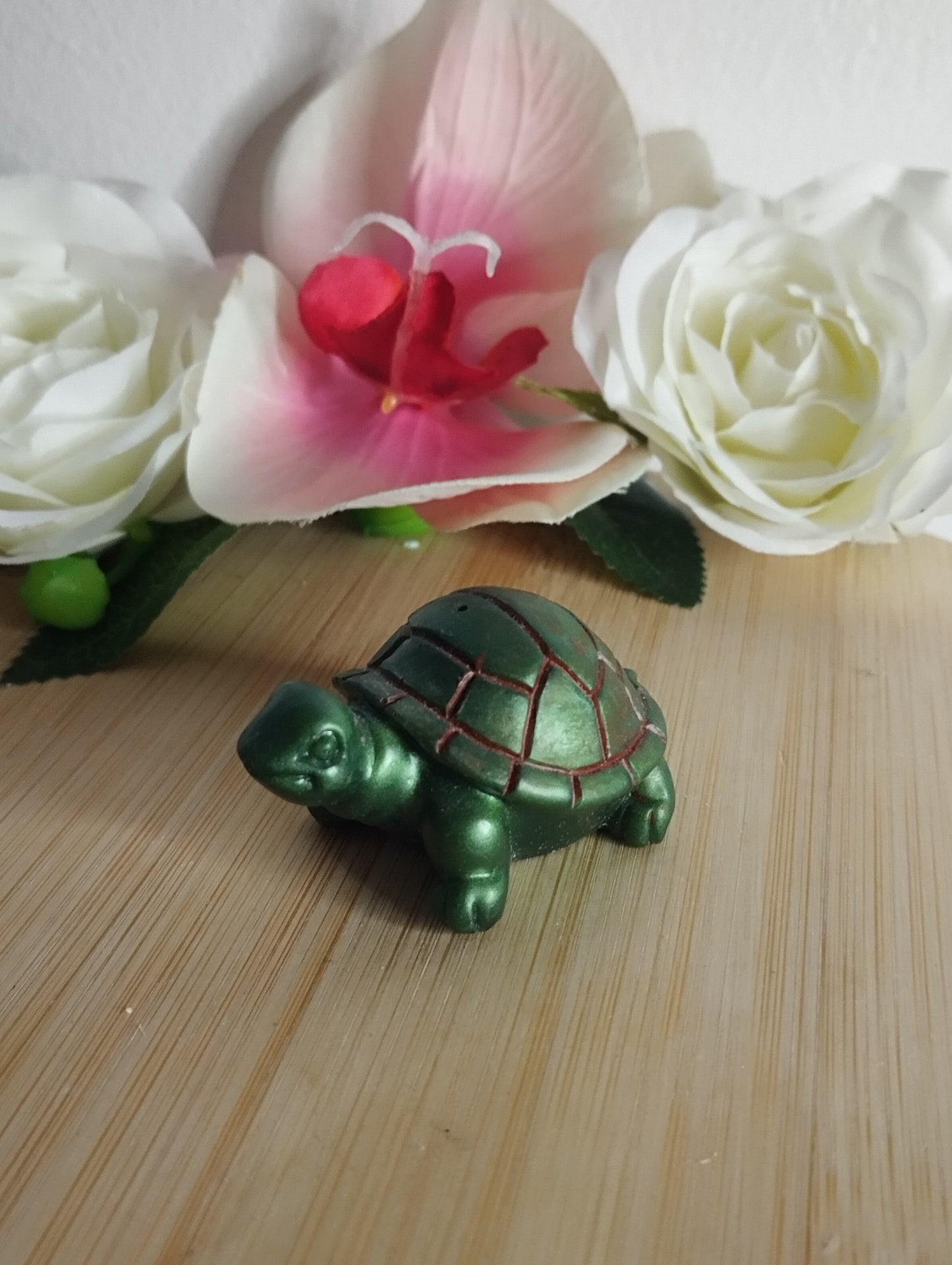 Tortue