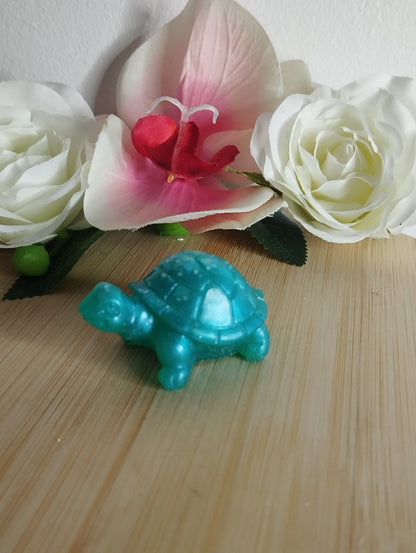 Tortue