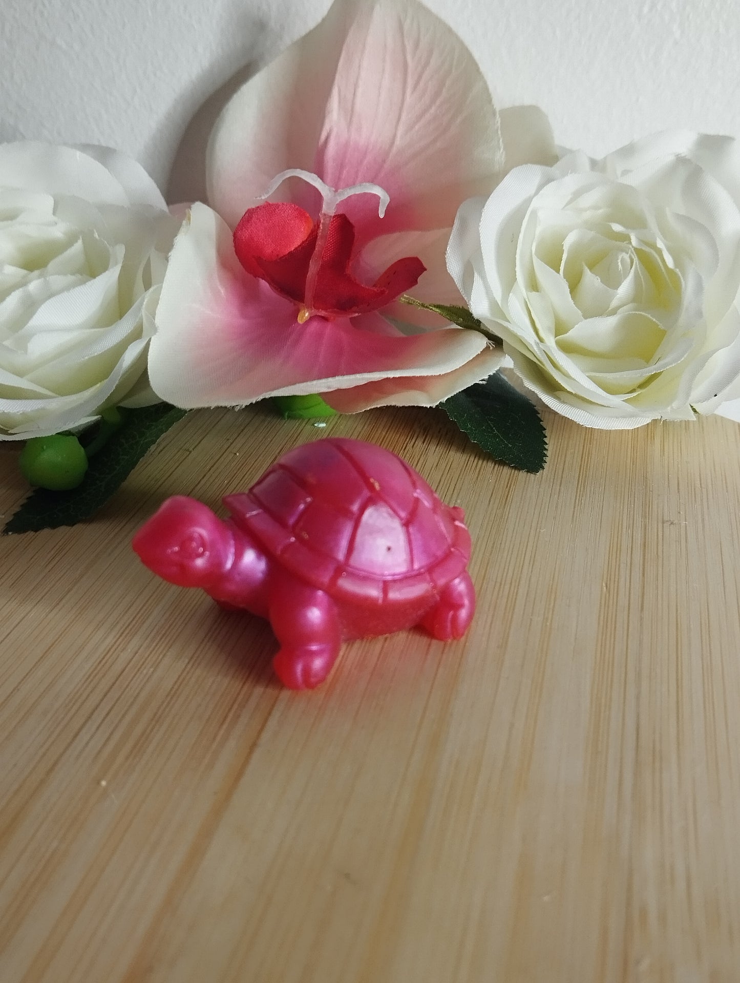 Tortue