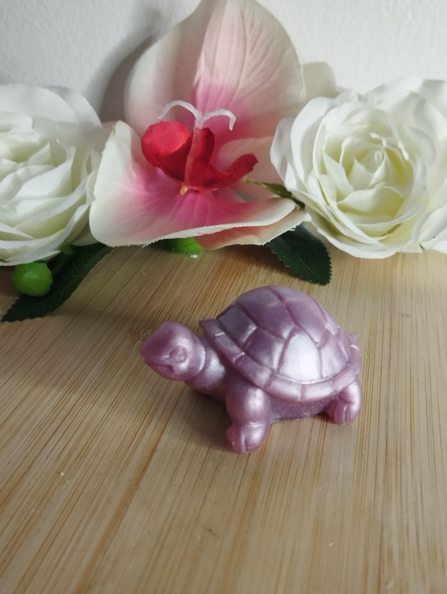 Tortue