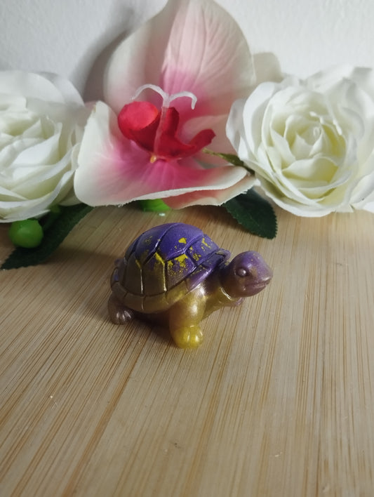 Tortue