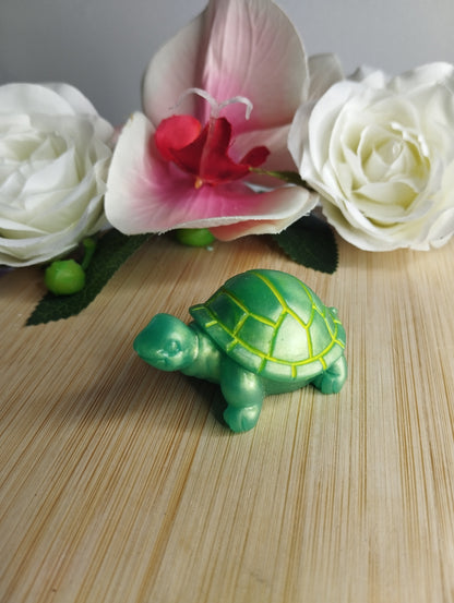 Tortue