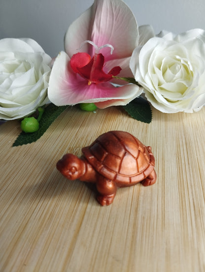 Tortue