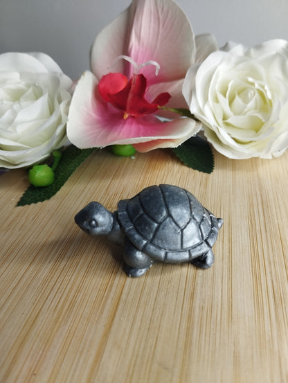 Tortue