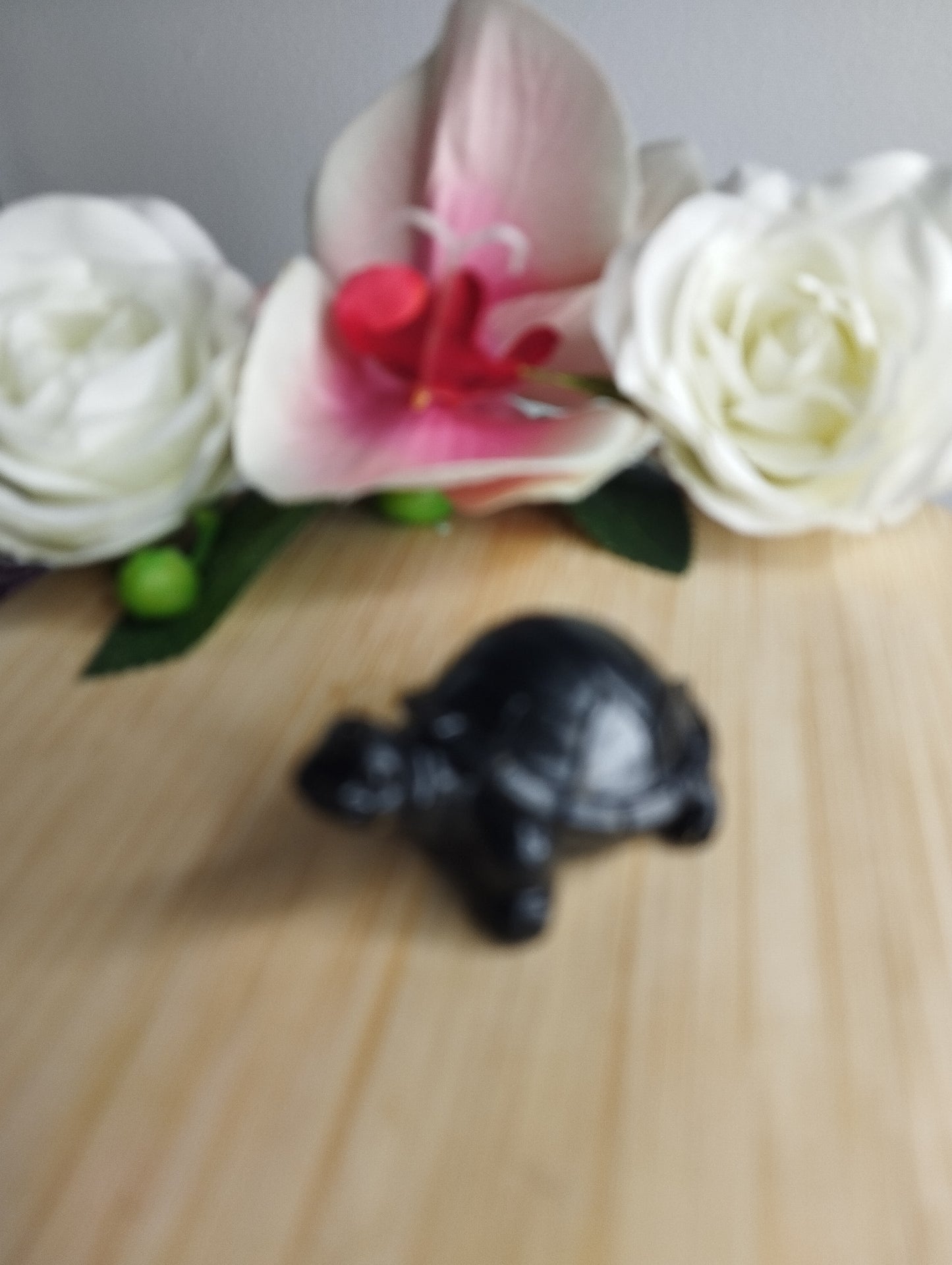 Tortue