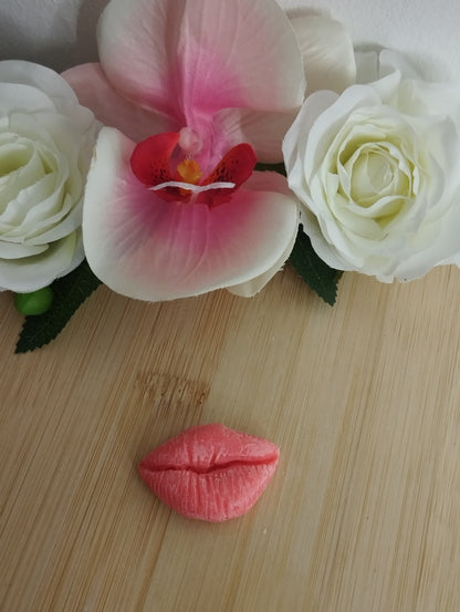 Bouche