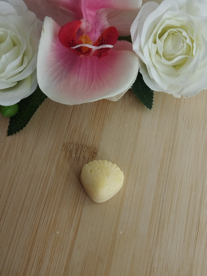 Coquillage
