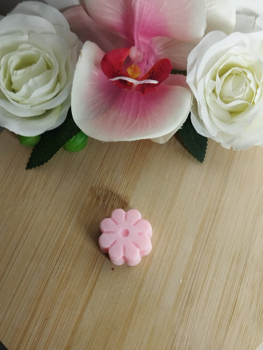 Fleur 8 Pétales