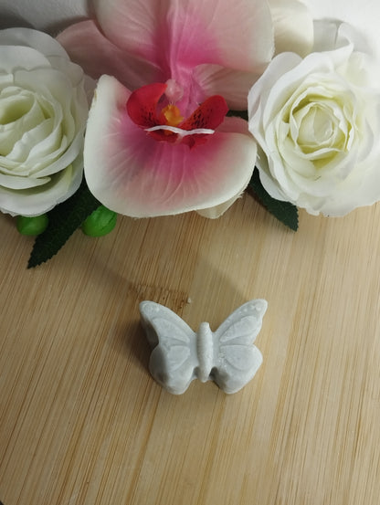 Papillon