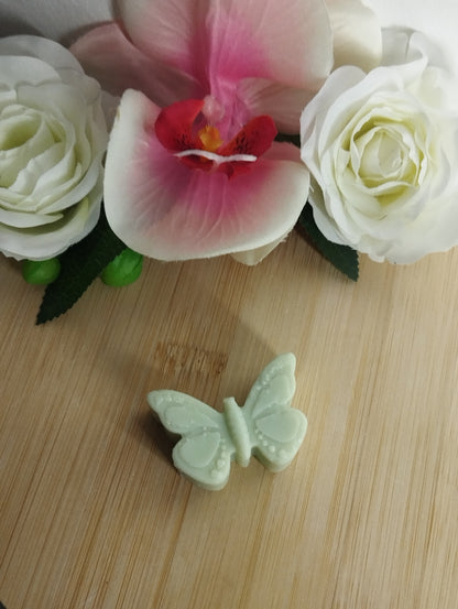 Papillon