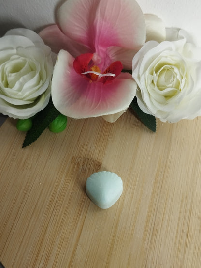 Coquillage