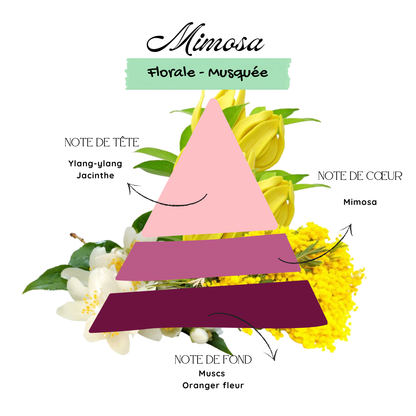 Mimosa
